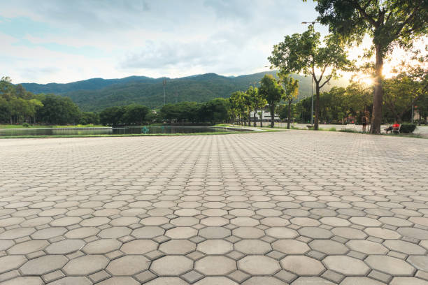 Best Best Driveway Pavers  in Zumbrota, MN